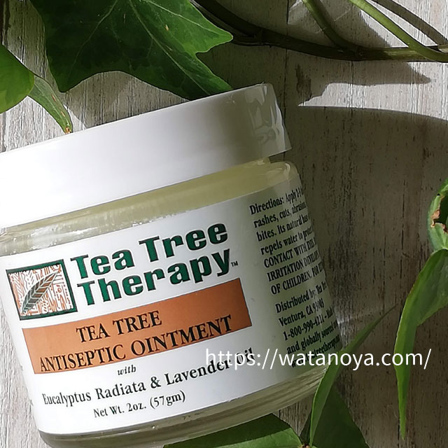 一家に一つ Tea Tree Therapy のティーツリー アンティセプティックオイルバームが使える ワタノヤ 主婦のアイハーブ個人輸入記録