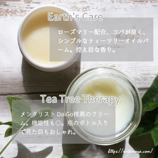 Tea Tree Therapy, ティーツリー アンティセプティックオイントメント（消毒軟膏）、2 oz (57 g)