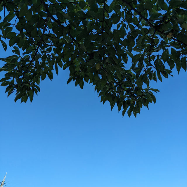 夏の終わりの予感